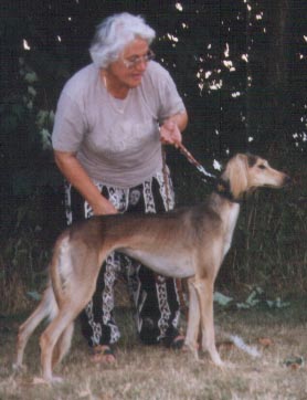 copyright G.Schlumbaum