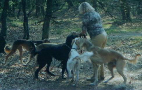 copyright G.Schlumbaum
